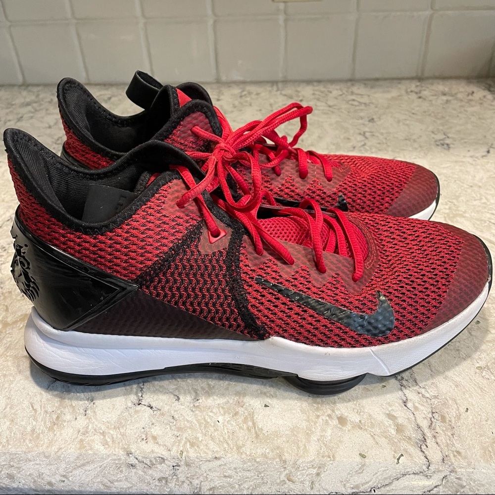 Nike Lebron James Witness shoes